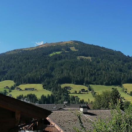 Ferienwohnung Haus Sama Альпбах Екстер'єр фото